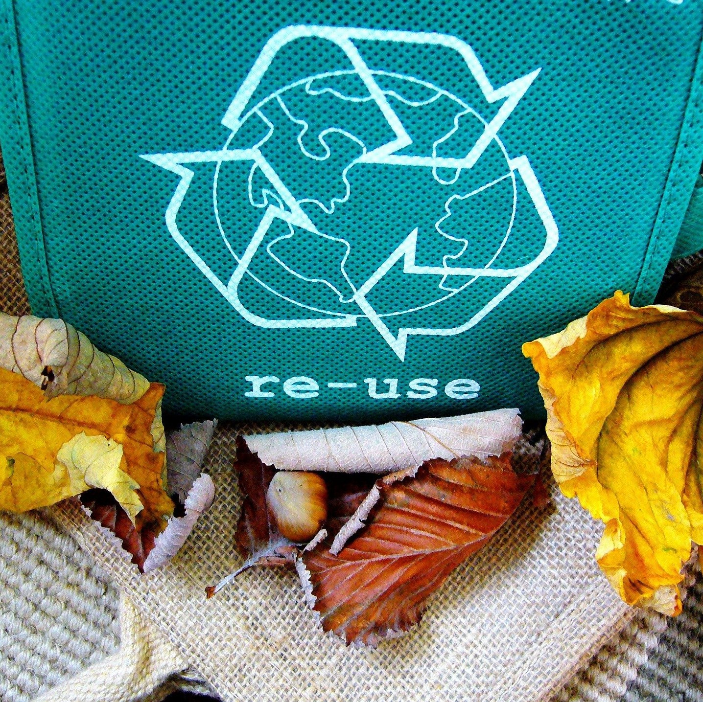 Logo du recyclage