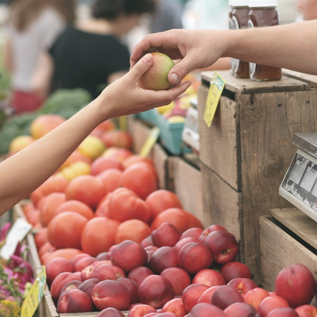 Illustration représentant deux individu s'échangeant une pomme au-dessus d'un étalage de marché