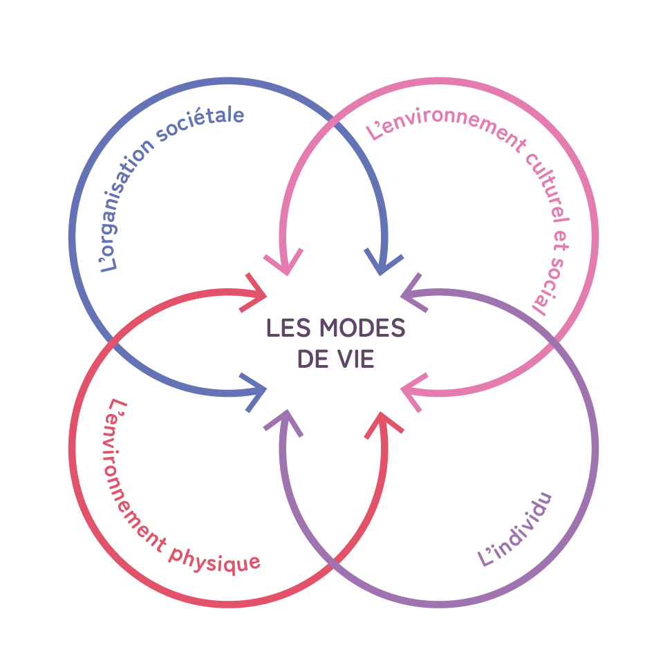 Représentations de 4 cercles se croisant autour des modes de vie : l'individu, l'environnement physique, l'organisation sociétale, l'environnement culturel et social