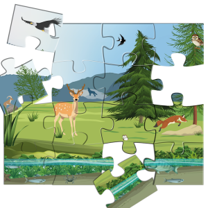 Image d'un puzzle représentant une image de nature