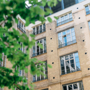 Photographie d'un immeuble avec en premier plan les feuilles d'un arbre