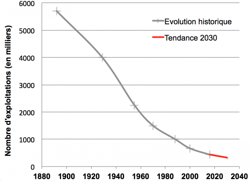 Graphique avec le nombre d'exploitations en milliers de 0 à 6000. Dates de 1880 à 2040. L'évolution historique du nombre d'exploitation commence en 1900 à environ 6000 exploitations. La courbe descend progressivement au fil des années pour atteindre moins de 1000 exploitations en 2030.