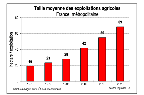 Taille moyenne des exploitations agricoles en France métropolitaine. En 1970 : 19 Hectares, 1979 : 23 Hectares, 1988 : 28 Hectares, 2000 : 42 Hectares, 2010 : 55 Hectares, 2020 : 69 Hectares
