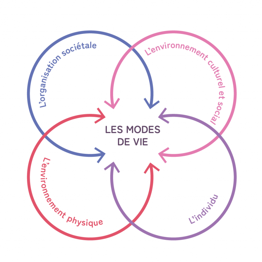Représentations de 4 cercles se croisant autour des modes de vie : l'individu, l'environnement physique, l'organisation sociétale, l'environnement culturel et social